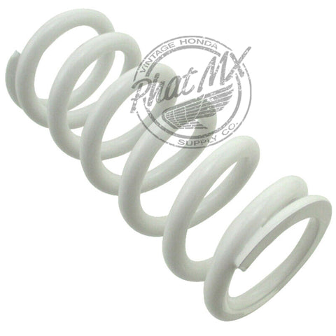 (temp sold out) DNM 350LB Replacement Spring