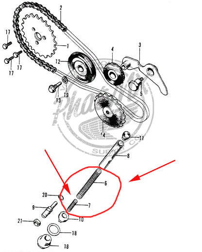 Cam Tensioner Springs (2)