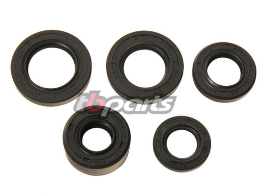 Oil Seal Kit