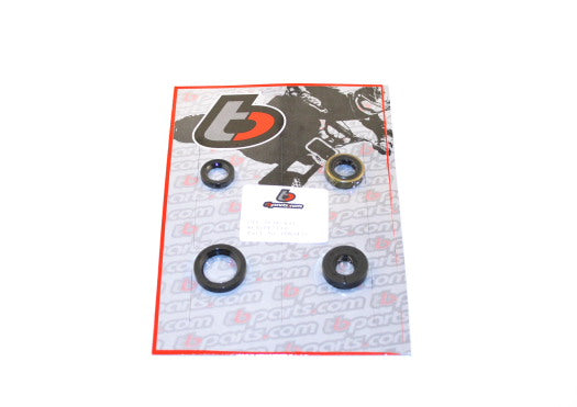 KLX110 Oil Seal Kit