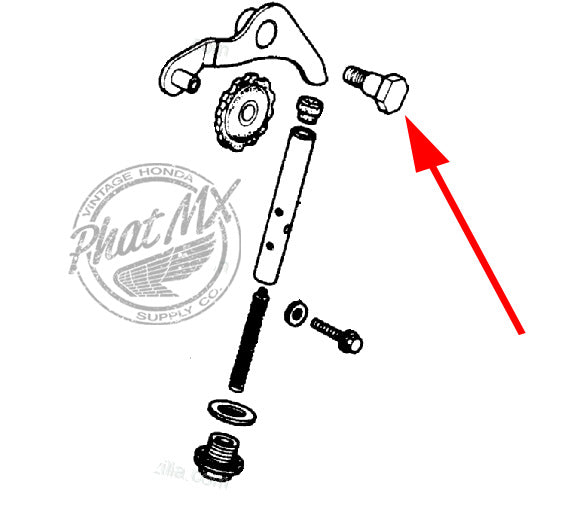 Cam Chain Tensioner Pivot Bolt