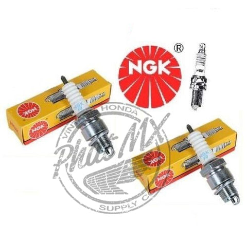 Pack of 4 NGK Spark Plug