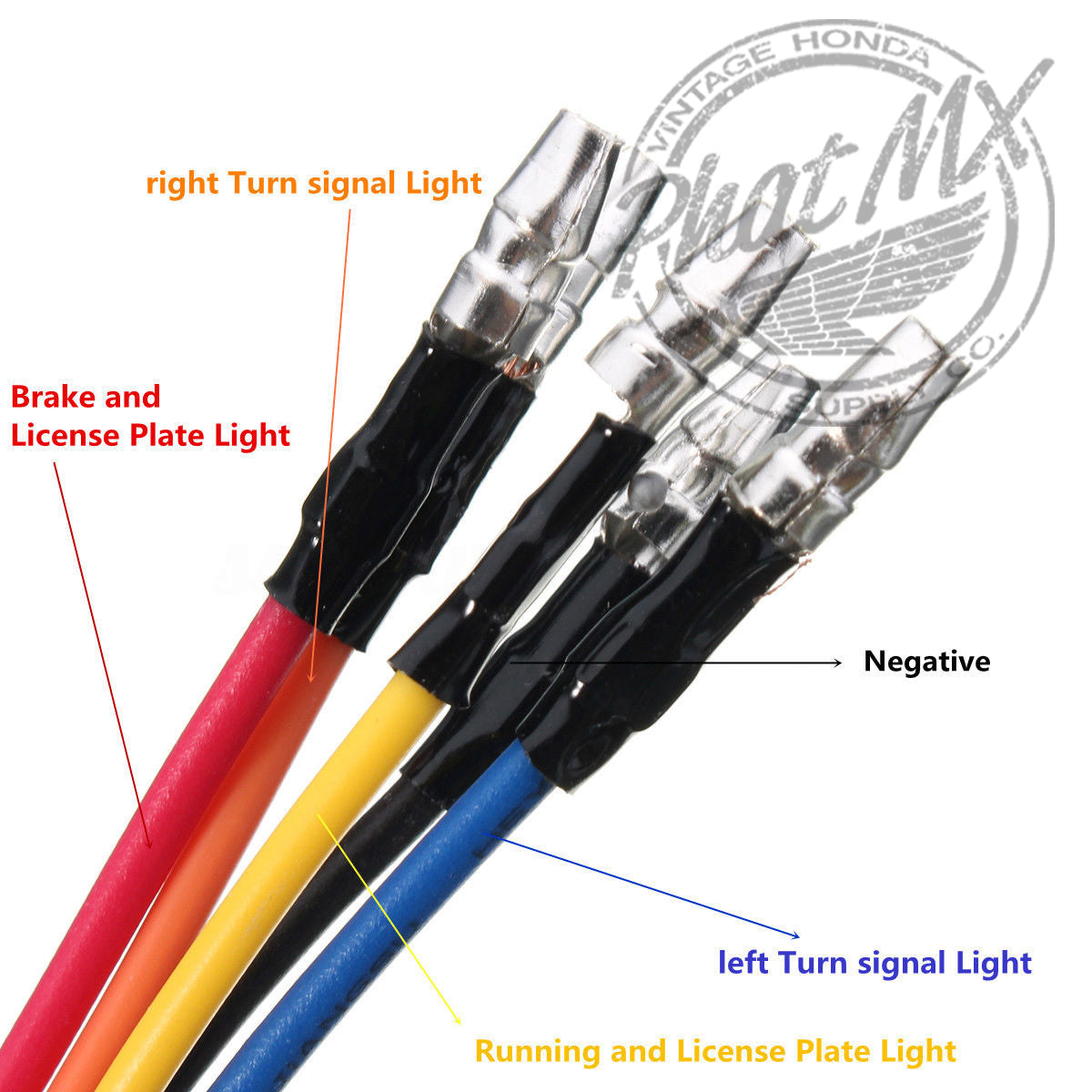 Dual L.E.D. Tail Light 12V